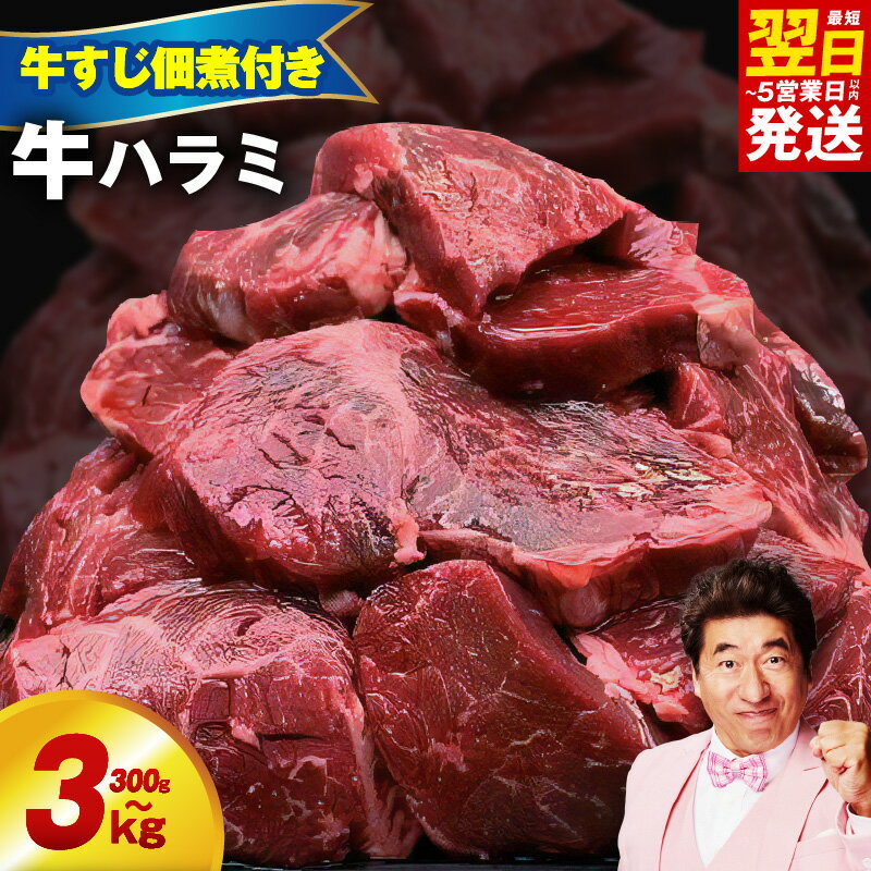 【ふるさと納税】【5/21から寄附額改定】牛ハラミ 最短翌日発送 総合1位 訳あり 牛すじ佃煮付き 300g～3kg 数量限定 食べ比べ 味付け タレ 焼肉 小分け 冷凍 ハラミ 牛タンセット 選べる発送月 泉佐野市 送料無料