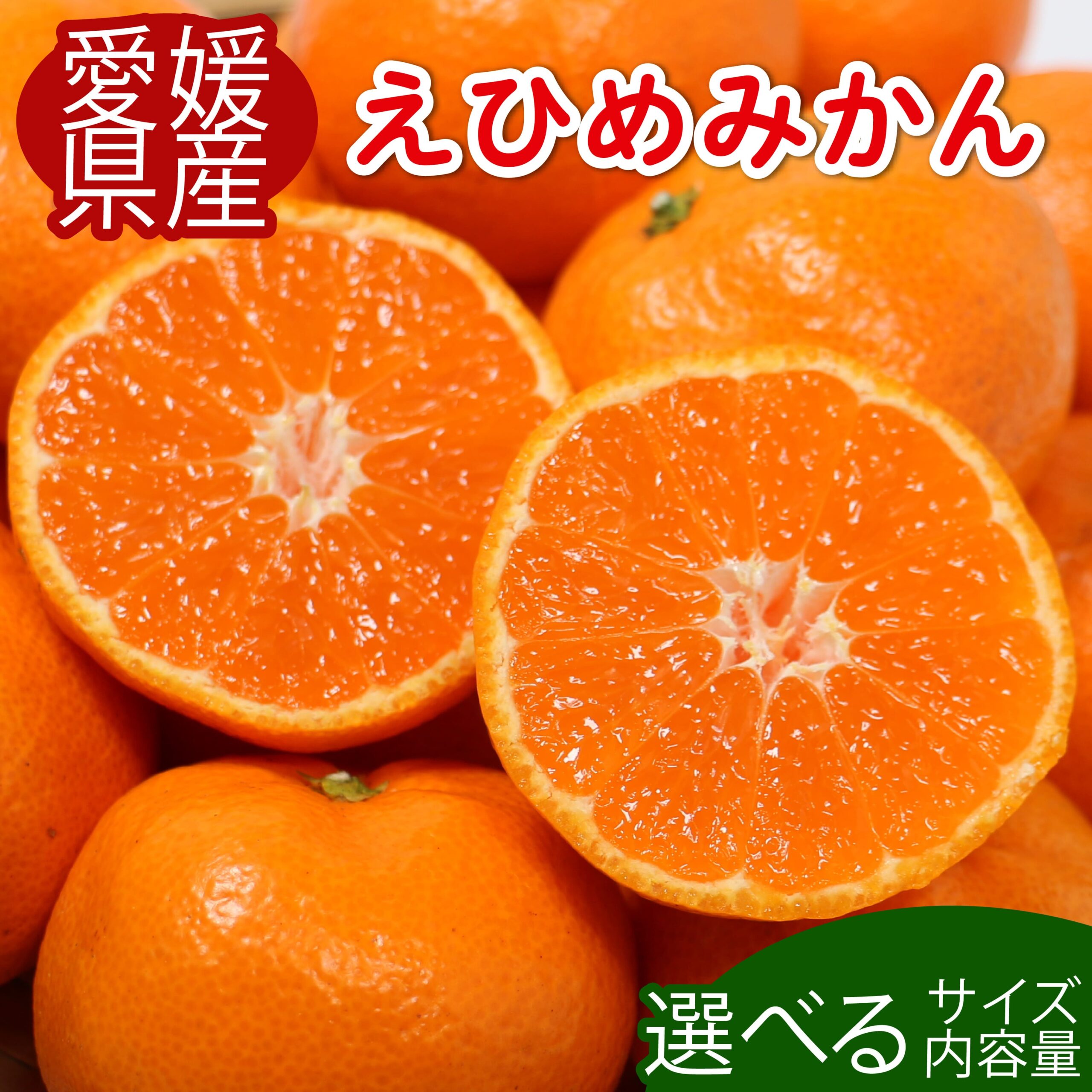 【ふるさと納税】【先行予約】 高評価 ★ 4.2 先行受付 愛媛みかん 選べる内容量 柑橘 みかん 果物 フルーツ 旬 ふるさと納税柑橘 ふるさと納税みかん サイズ不揃い 柑橘 フルーツ ふるさと納税訳あり 傷 不揃い 愛媛県 愛南町 清家ばんかんビレッジ