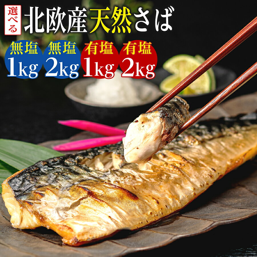 【ふるさと納税】 訳あり 骨取り 無塩さば 有塩さば 約1kg・約2kg 鯖 さば 無塩 有塩 骨なし 骨抜き 切身 切り身 冷凍 食品 小分け 大容量 人気 魚 魚介 魚貝 海鮮 お取り寄せ 送料無料 不揃い 規格外 ふるさと納税 ふるさと納税鯖 千葉県 銚子市 飯田商店 iidachoshi