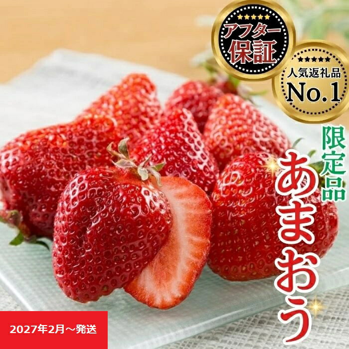 【ふるさと納税】人気1位獲得謝礼品★限定品★あまおう約540g～1，080g いちご 苺　福岡（先行受付／2027年2月以降発送） 高級 フルーツ【あまおう】