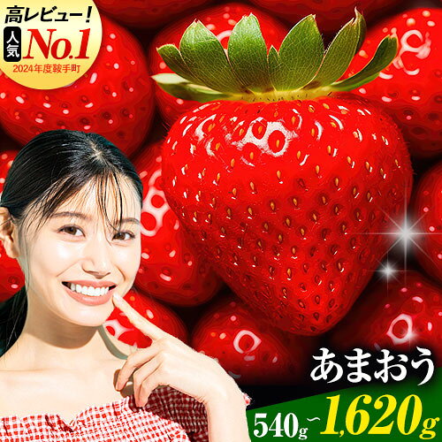 【ふるさと納税】★2027出荷★ いちご あまおう いちご 福岡 苺 【先行予約】フルーツ 苺 旬 不揃い 【着日指定不可】《2027年2月中旬-3月中旬頃出荷》果物 いちご 福岡名産品 あまおう ふるさと納税 果物 ふるさと納税 くだもの ふるさと納税 フルーツ