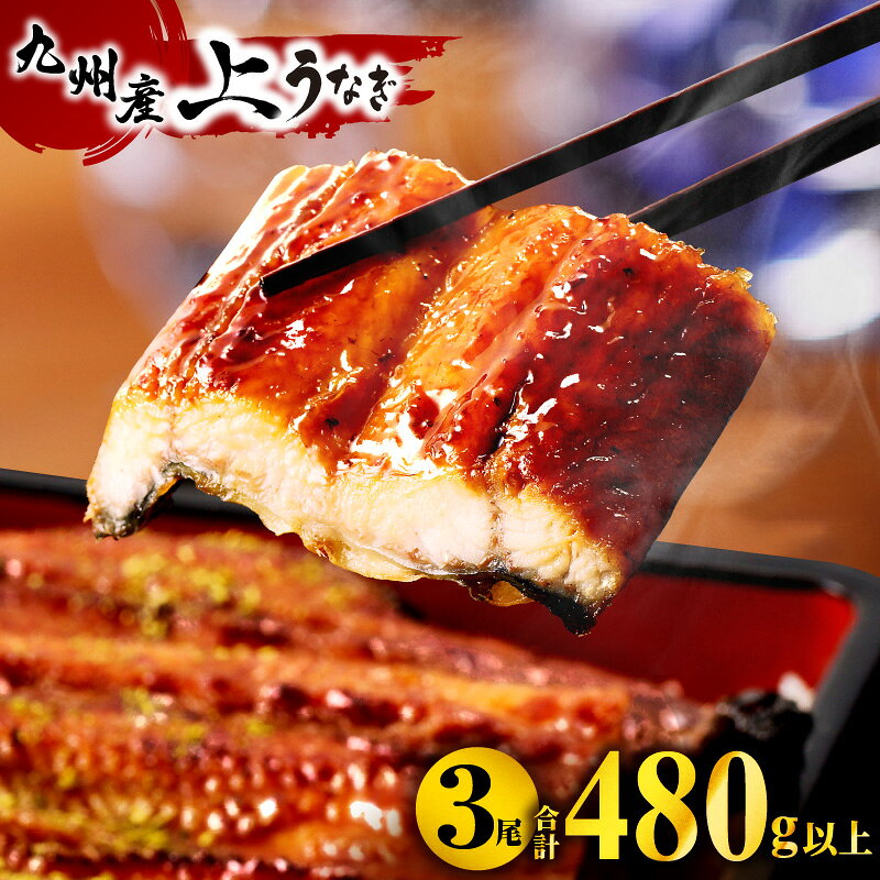 【ふるさと納税】《ランクイン多数！》高評価★4.79 うなぎ蒲焼 3尾(計480g以上＆さんしょう、たれ付き)国産 九州産 上うなぎ うなぎ 小分け パック 冷凍 贈答 贈答用 贈り物 ギフト 冬ギフト プレゼント お歳暮 冬うなぎ うなぎ蒲焼き うなぎの蒲焼き 惣菜 魚介 鰻楽 宮崎