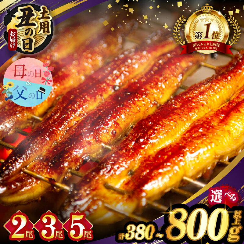 【ふるさと納税】総合1位獲得！ ≪選べる！！内容量・発送時期・定期便≫ うなぎ 蒲焼 2尾 380g or3尾 600g or 5尾 800g 丑の日 定期便 国産 宮崎 鰻 ウナギ うな重 うなぎ長焼 ひつまぶし 冬うなぎ 小分け 真空パック 鰻楽 簡単調理 人気 ギフト 贈り物 都農町 父の日