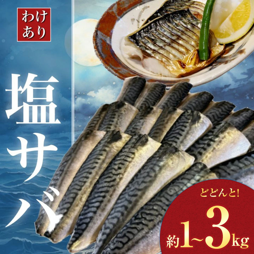 【ふるさと納税】【訳あり】 無添加 塩サバ 選べる 内容量 1kg 3kg 株式会社西川《2026年6月25日より順次出荷予定》千葉県 勝浦市 塩サバ さば 切り身 魚 無添加 冷凍 訳あり 切身 大容量 規格外 贈り物 ギフト 海鮮 冷凍 食品【配送不可地域あり】(離島)