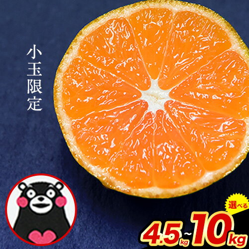 【ふるさと納税】先行予約 訳あり みかん 小玉 ひとくちもぎたてみかん 約 4.5kg 約 7kg 約 10kg 《2026年9月下旬-12月下旬頃出荷》 S-3Sサイズ 訳あり ご家庭用 熊本県産 期間限定 フルーツ 果物 旬 みかん