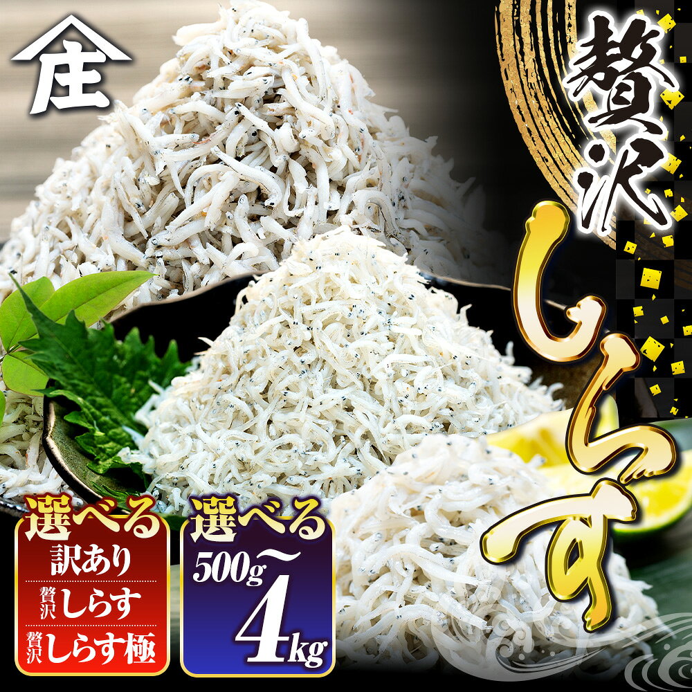 【ふるさと納税】 【最短翌日発送】 選べる 国産しらす 500g – 4kg 訳あり 贈答 ギフト 生しらす しらす干し 減塩 極み 山庄 ちりめん 規格外 しらす 魚 海鮮 魚介類 魚貝 規格外 健康 ダイエット 人気 ランキング 5000円 美味しい 夕食 惣菜 コメに合う 米 南知多 愛知県