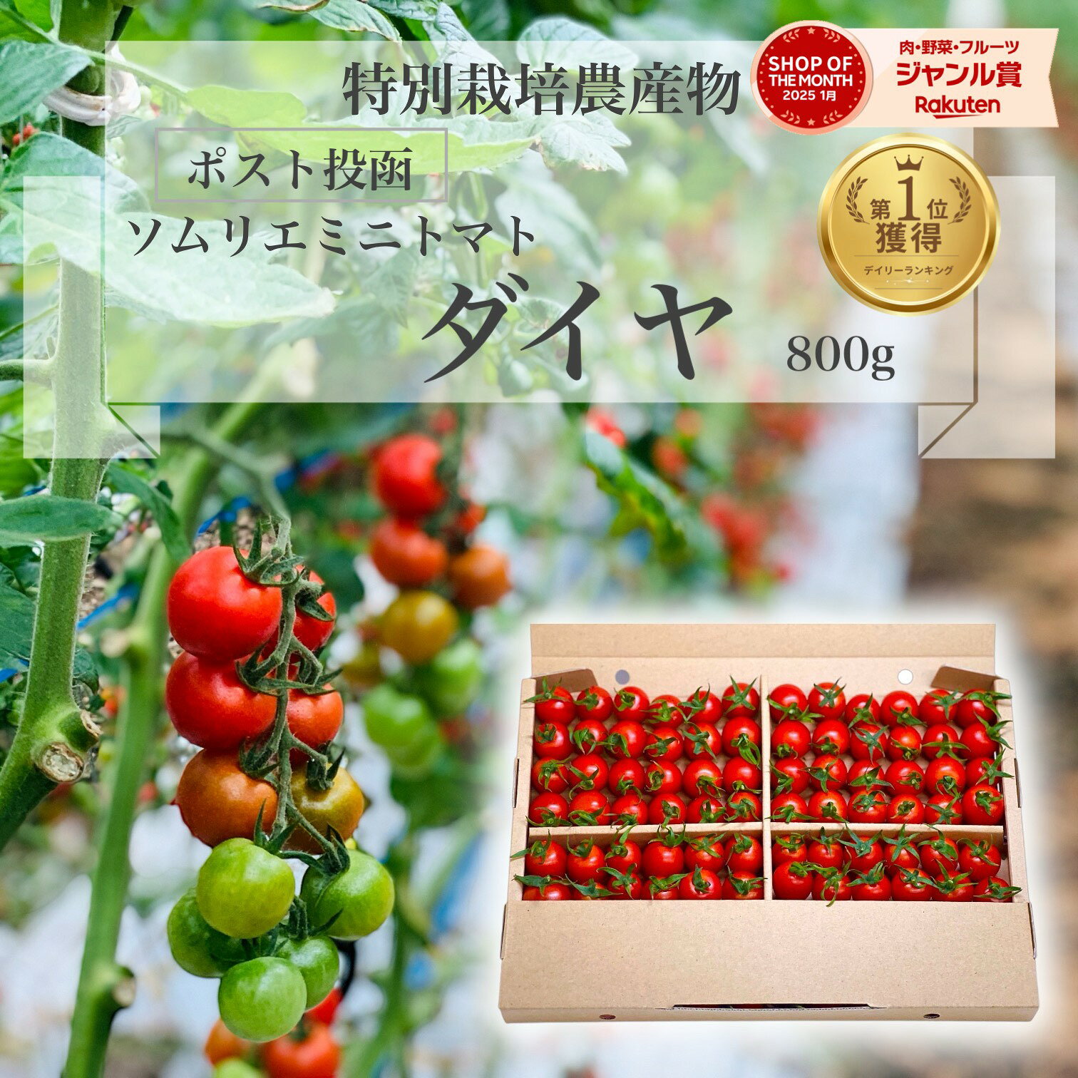 ＼ 半額 20日で今季終了／ とまと ミニトマト 送料無料 【特別栽培農産物】ソムリエミニトマト ダイヤ 800g トマト レシピ トマトジュース プチトマト プレゼント ギフト 内祝い ダイエット ふるさと 楽天市場 ネットショッピング sale セール プチギフト ポスト投函 父の日
