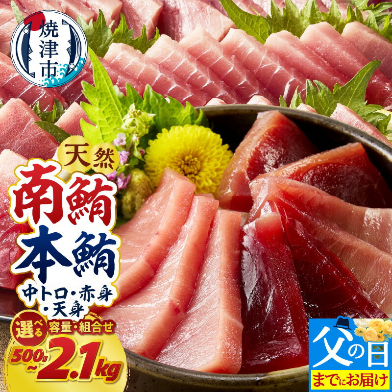 【ふるさと納税】 マグロ 南マグロ 本マグロ 訳あり 正規品 【選べるお届け時期/種類】 天然 南鮪 本鮪 まぐろ 鮪 赤身 中トロ 刺身 切り落とし 柵 700g 1.4kg 2.1kg 食べ比べ 540g 720g 1080g 天身 500g 魚 冷凍 贅沢 高評価 《 レビューキャンペーン 》 父の日 a18-110
