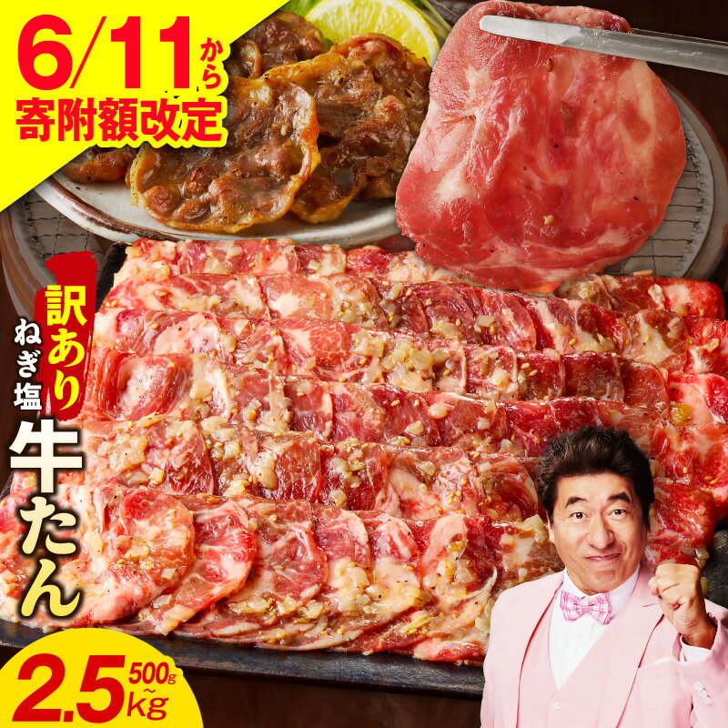 【ふるさと納税】【6/11から寄附額改定】 ねぎ塩牛たん 最短翌日発送 成型 選べる 500g 〜 2.5kg 定期便 訳あり 規格外 楽天限定 小分け 味付け 塩だれ 牛ハラミ お肉 牛肉 タン 焼肉 BBQ 真空パック 肉 焼くだけ ランキング急上昇中 発送月 大阪府 泉佐野市 肉の泉佐野