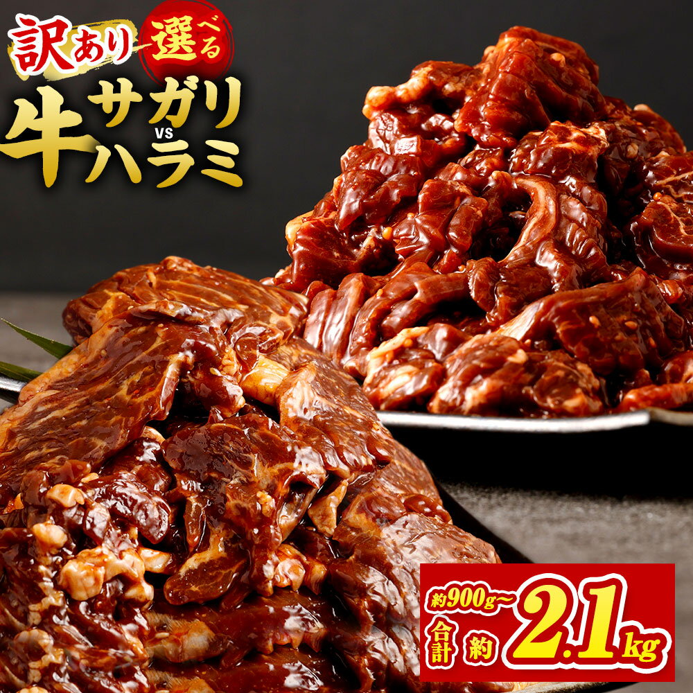 【ふるさと納税】★柔らかさUP★【選べる】【訳あり】秘伝コク旨たれ漬け牛サガリ肉／たれ漬け牛ハラミ肉 約900g～約2.1kg 7000円 〜 14000円 7000円 〜 1万4000円 1パック約300g 希少部位 牛肉 お肉 ハラミ タレ漬け 不揃い サガリ 小分け