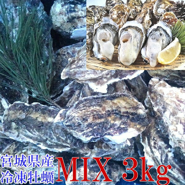 【10％OFFクーポン有】牡蠣 殻付き 牡蠣3kg MIX 冷凍便 牡蠣 送料無料！ 3キロ 宮城県産 殻付き牡蠣 殻付き 殻付 カキ 加熱用 松島牡蠣屋 無選別牡蠣 「牡蠣 MIX3kg」【ふるさと納税リンクあり】