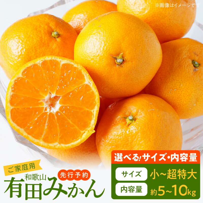 【ふるさと納税】【限定】 【TVで紹介されました】 高評価 ご家庭用 有田みかん 選べる サイズ 内容量 2S 〜 3L 約 5kg 〜 10kg サイズ混合 温州みかん 有田 みかん 国産 フルーツ 柑橘 果物 甘味 酸味 バランス ジューシー 期間限定 お取り寄せ 和歌山県 湯浅町 送料無料