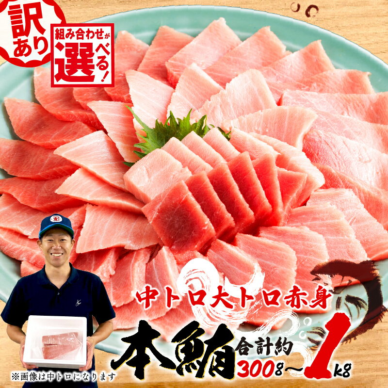 【ふるさと納税】 訳あり 本マグロ 中トロ 約400g 赤身 500g 大トロ 約300g 父の日 鮪 冷凍 本鮪 漬け丼 刺身 魚 鮮魚 海鮮 食品 まぐろ 不揃い 規格外 柵 魚介類 マグロ ネギトロ 10000円 1万円 高級 グルメ 贅沢 マグロセット 三種盛り 藤枝市 静岡県