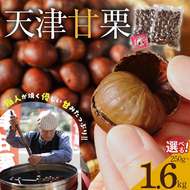 【ふるさと納税】天津甘栗 250g 800g 1.6kg 選べる容量 甘栗 焼き栗 栗 保存料不使用 焼いた当日に発送 栗爪付き おやつ スイーツ マロン 常温 愛知県 碧南市 送料無料