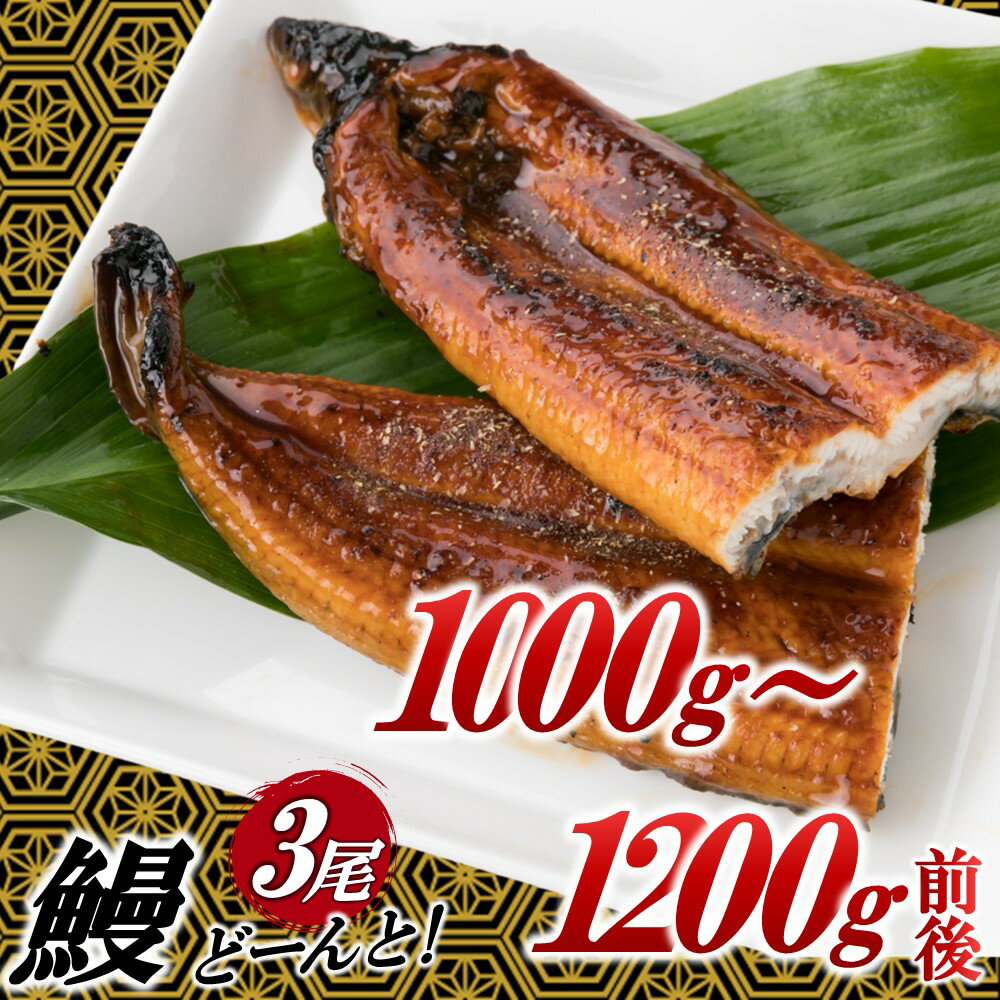 【ふるさと納税】《7/26丑の日までにお届け！！》うなぎの蒲焼3尾（計1,000g〜1,200g前後）.鰻 たれ 山椒