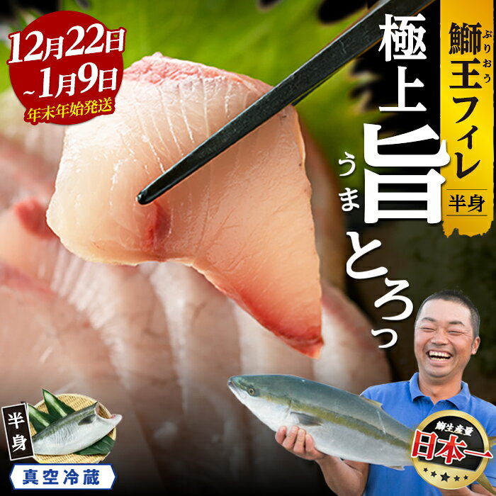 【ふるさと納税】【期間限定】＼年末年始発送 先行予約／【高評価 4.89】＜数量限定＞テレビで紹介ぶりの王様「 鰤王 」 選べる フィレ (半身) 冷蔵 真空パック ふるさと納税 ぶり 刺身 鰤 ぶりしゃぶ たたき 年末発送 贈答 ギフト 人気 ふるさと【JFA】_jfa-7f