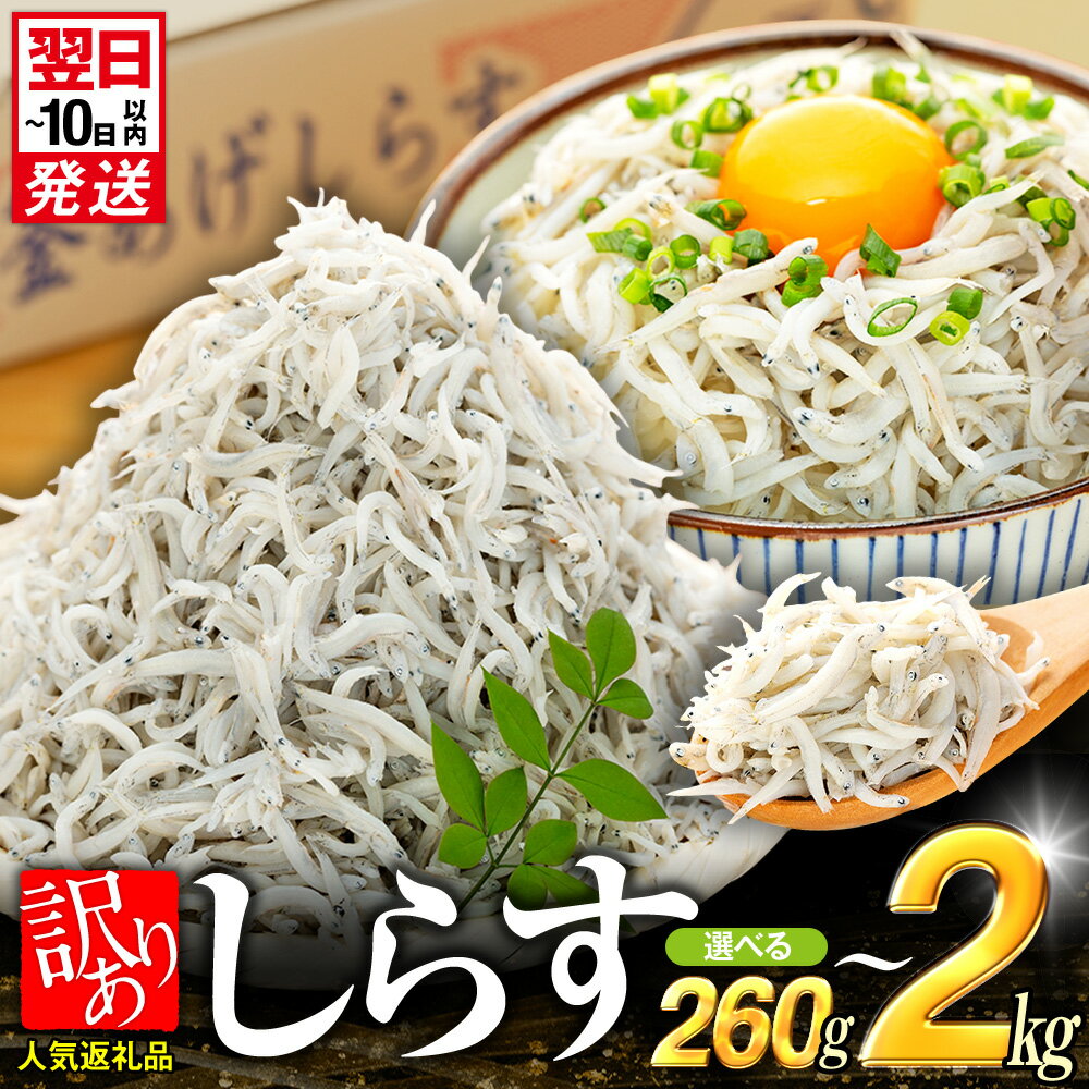 【ふるさと納税】 【最短翌日発送】 しらす 最大2kg 260g~2kg 選べる容量 小分け 便利 釜揚げ しらす しらす干し シラス ちりめん じゃこ ちりめんじゃこ 規格外 大容量 500円 訳あり 美味しい 人気 ランキング スピード お米 と一緒に 海鮮 魚 魚介 惣菜 おかず カネ成