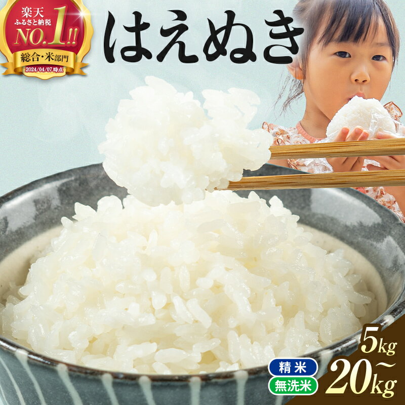 【ふるさと納税】 総合1位 無洗米 定期便も選べる はえぬき 5kg 10kg 20kg レビュー高評価 山形県産 令和7年産 選べる内容量 発送時期 定期便 3ヶ月 6ヶ月 3回 6回 3か月 6か月 ランキング1位 精米 お米 米 おこめ ごはん ご飯 ライス 白米 国産 ブランド米 弁当 FYN1-131var