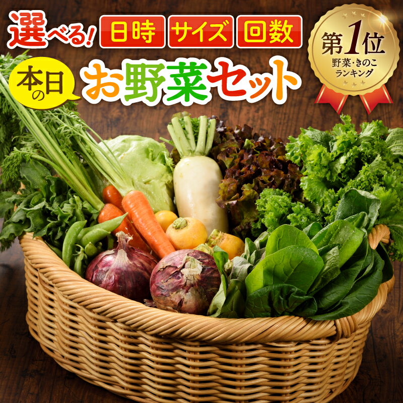 【ふるさと納税】【ランキング1位!】 野菜 定期便 1回～12回 お試し ＜サイズ＆お届け回数が選べる＞本日のお野菜セット 着日指定可能 綾町 やさい 旬の野菜 ギフト 詰め合わせ 野菜生活 国産 新鮮野菜 オーガニック 無農薬 食品 健康志向 ヘルシー 季節野菜 冷蔵 送料無料