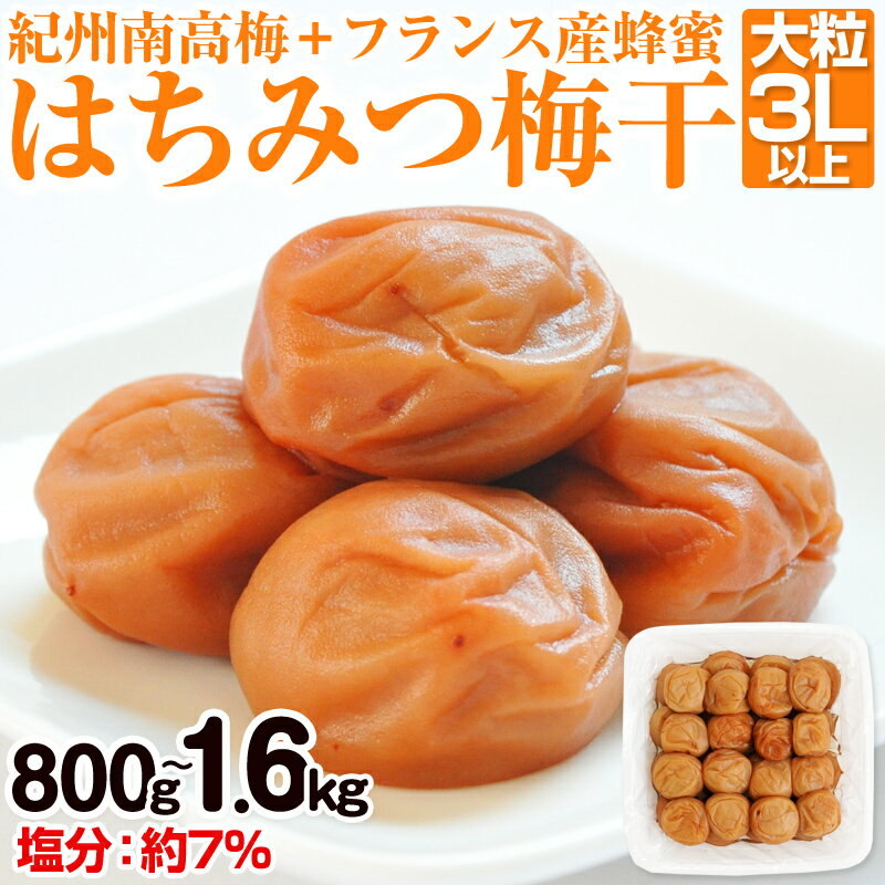 【ふるさと納税】はちみつ梅干(紀州南高梅)800g・1.6kg 大粒 3L以上 和歌山県産 ふるさと納税 梅干し ふるさと納税 はちみつ梅 ふるさと納税 うめぼし 梅 人気 800グラム 1.6キロ 送料無料 はちみつ 減塩