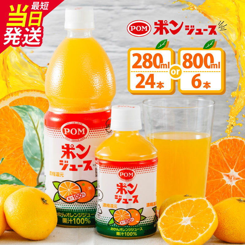 【ふるさと納税】 ＼最短当日発送／ ポンジュース ペットボトル 800ml×6本 / 280ml×24本 | みかんジュース オレンジジュース 果汁100％ 飲料 果汁飲料 オレンジ みかん ドリンク 常温 ご当地 お土産 人気 おすすめ 愛媛県 松山市 POM えひめ飲料