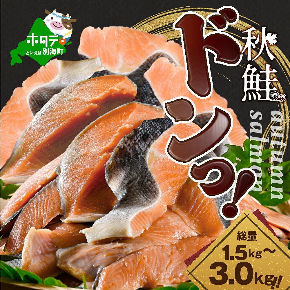 【ふるさと納税】秋鮭ドンっ！【 発送時期が選べる 】「秋鮭 切り身（無塩）」料理に便利 （ ふるさと納税 鮭 訳あり 秋鮭 切り身 切身 さけ シャケ 鮭 魚 海鮮 北海道 別海町 人気 ランキング 規格外 不揃い さけ 秋 お中元）