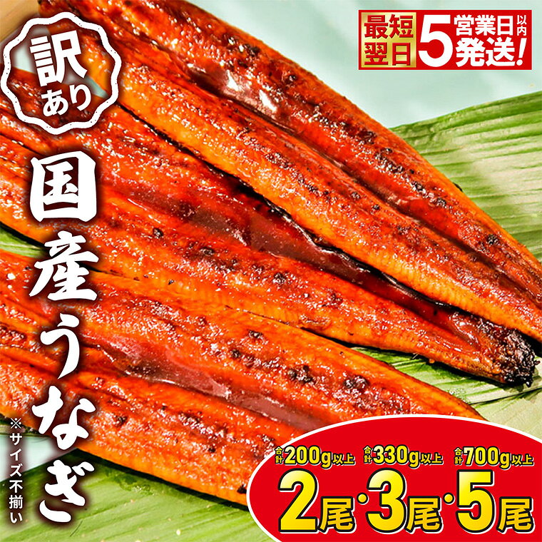 【ふるさと納税】うなぎ 国産 訳あり 丑の日 鰻 不揃い 2尾 3尾 5尾 200g以上 330g以上 規格外 蒲焼き 小分け 先行受付 最速便 5日以内に発送 訳あり 国産 うなぎ 不揃い 無選別 蒲焼 丑の日 発送時期が選べる 土用の丑の日 鰻楽 発送時期選択 ウナギ unagi