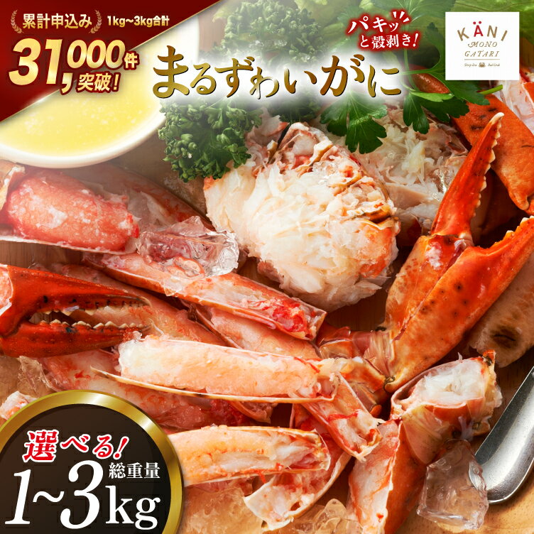 【ふるさと納税】 大人気！リピーター続出 まるずわいがに 肩脚肉 【内容量が選べる】[カネダイ 宮城県 気仙沼市 20564327] かに カニ かに物語 まるズワイガニ 丸ずわいがに マルズワイガニ 蟹 ずわい 魚介 魚介類 1kg 2kg 3kg