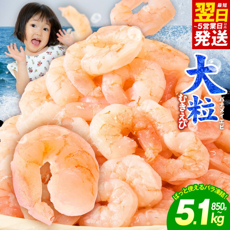 【ふるさと納税】むきえび 特大 選べる 850g ～ 5.1kg 銀鮭 セット 5Lサイズ ふるさと納税 えび 定期便 大型 バナメイ エビ 訳あり サイズ不揃い 下処理済み 背ワタなし バラ凍結 むき身 小分け 冷凍 5営業日 発送月 大阪府 泉佐野市 送料無料