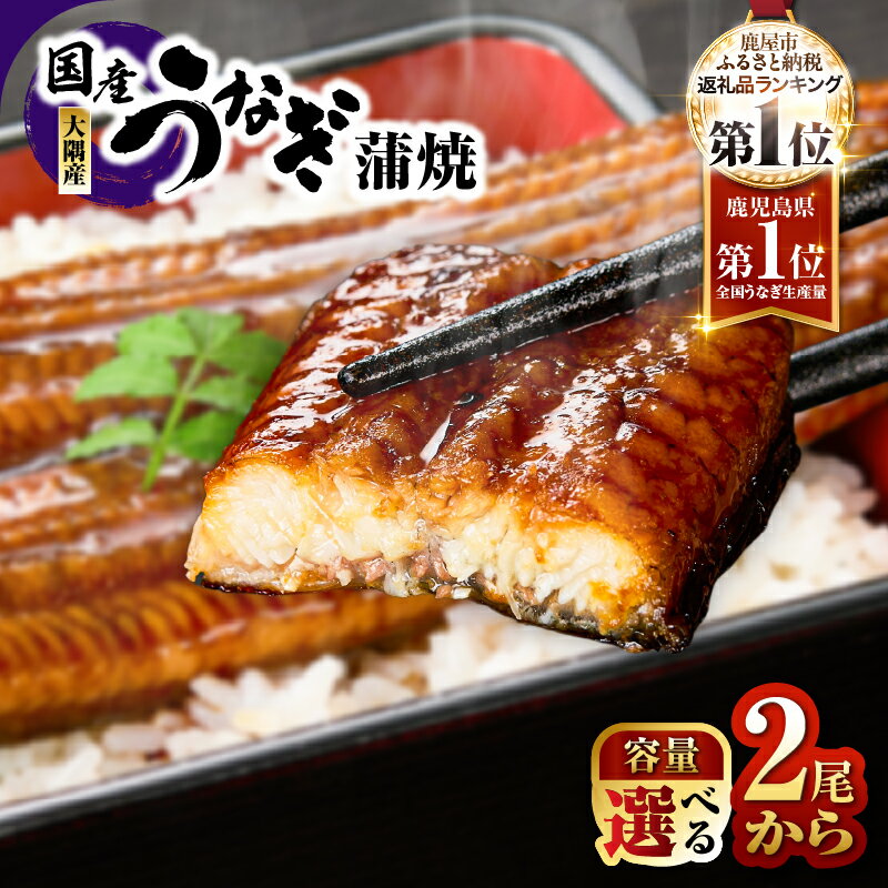 【ふるさと納税】【期間限定】高評価レビュー ☆4.63＜選べる＞鹿児島県 大隅産 うなぎ 蒲焼 2尾〜20尾 計360g〜3kg 国産 真空パック 鰻 惣菜 総菜 魚 鰻重 ひつまぶし 訳あり 大隅地区養まん漁業協同組合 鹿屋市 おすすめ ランキング ギフト