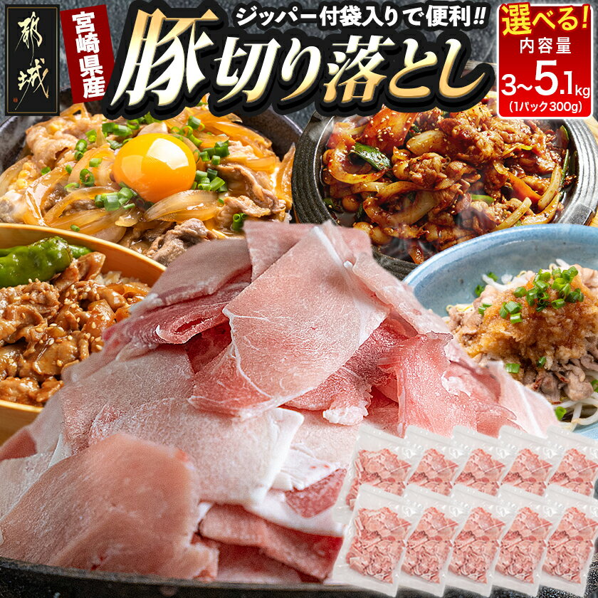 【ふるさと納税】【内容量が選べる！】宮崎県産豚切り落とし(ジッパー付袋入り) – 切落とし 300グラム 小分け ウデ肉/モモ肉 豚肉 小分け 使いやすい 3kg/3.9kg/5.1kg 焼きそば カレー 送料無料 SKU-1522【宮崎県都城市】