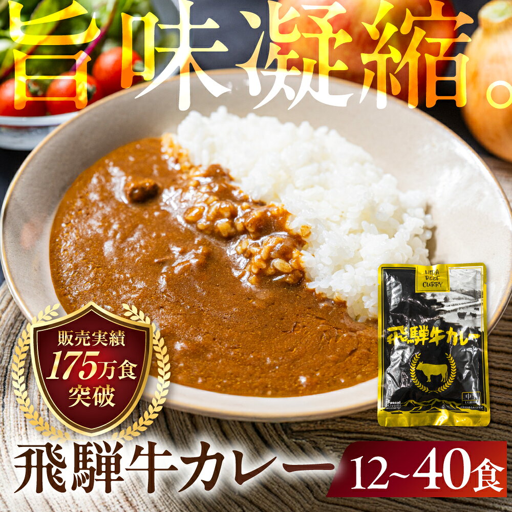 【ふるさと納税】訳あり 飛騨牛カレー (12袋、25袋、40袋) | 常温配送 10,000円 訳あり 簡易包装 飛騨牛 肉 牛 カレー ビーフカレー レトルトカレー レトルト 惣菜 ご当地カレー 人気 時短 即席 備蓄 おすすめ 便利 飛騨高山 ふるさと清見 DC006VP