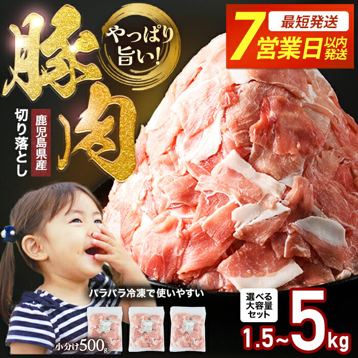 【ふるさと納税】小分け＆パラパラで使い勝手抜群！ 安心の鹿児島県産 小分け 500g 訳あり 小間切れ 冷凍 ふるさと納税 豚肉 小分け 真空パック 切り落とし ふるさと 人気 【スターゼン】starzen-1639