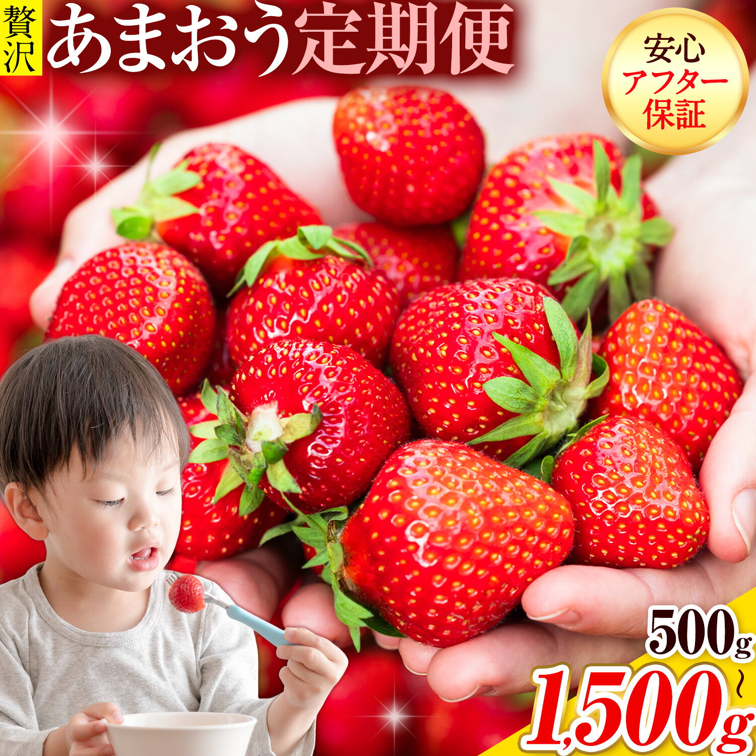 【ふるさと納税】【2ヶ月定期便】いちご あまおう 先行予約 いちご大量 500g 1000g 1500g ふるさと納税 フルーツ 苺 旬 訳あり 数量限定 ふるさと納税 不揃い 傷 4月 規格外 規格外果物 くだもの 果物 【着日指定不可】《2027年3月・4月頃出荷》【配送不可地域：離島】