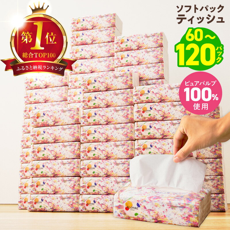 【ふるさと納税】総合1位 ソフトパックティッシュ 60パック / 120パック 400枚 200組 選べる発送月 箱なし コンパクト ピュアパルプ 日用品 ストック ティッシュ まとめ買い 防災グッズ 消耗品 エコ 3部門ランクイン 大阪府 泉佐野市 送料無料 年内発送