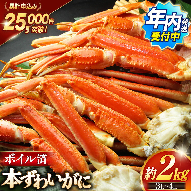 【ふるさと納税】 ボイル済み 本ずわいがに 脚 3L〜4L 総重量 2kg 選べる発送月 [カネダイ 宮城県 気仙沼市 20564764-o] カニ 蟹 ズワイガニ ずわい蟹 ズワイ蟹 ずわい ズワイ カニ脚 蟹脚 足 ボイル