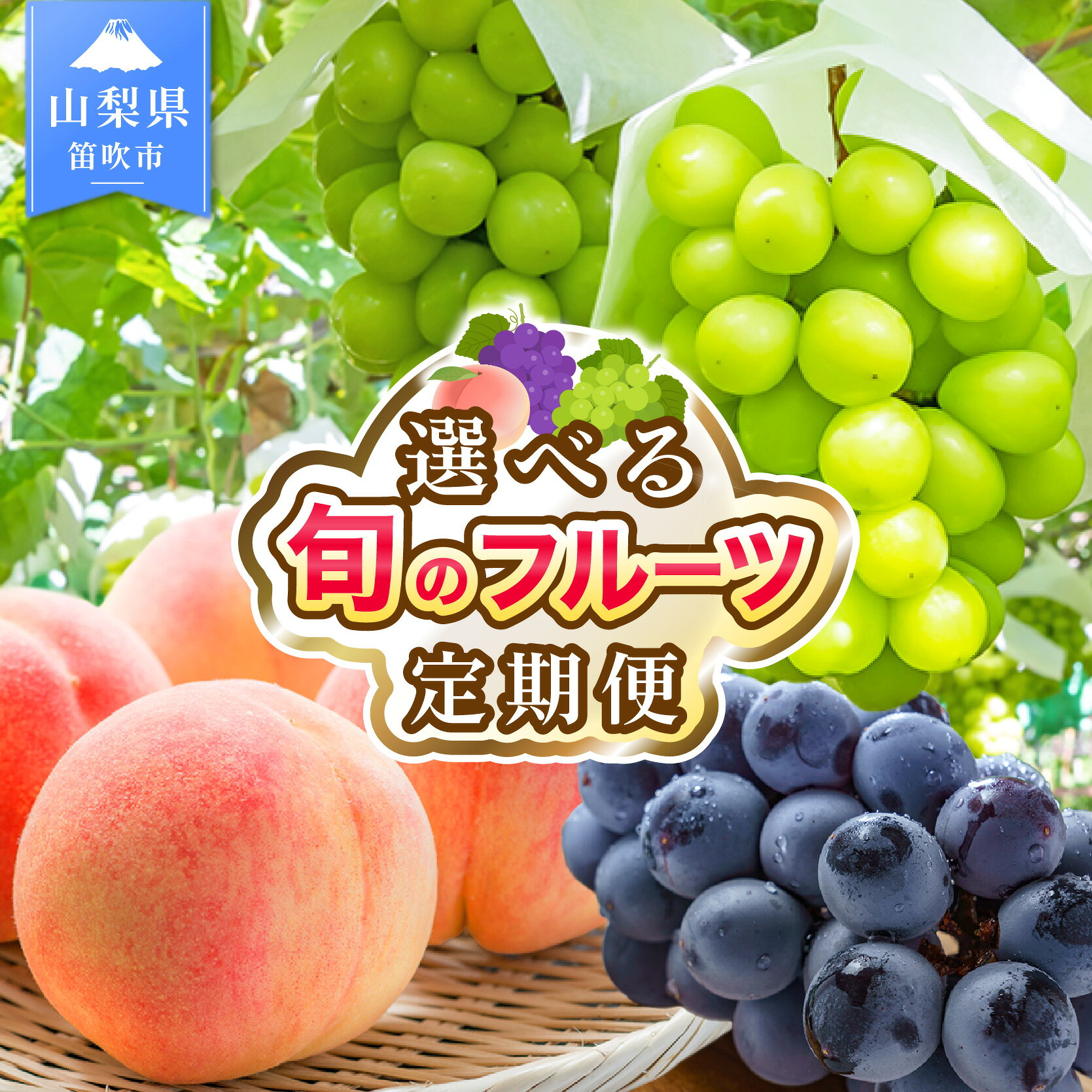 【ふるさと納税】【2027年発送★先行予約】フルーツ 定期便 笛吹市産 桃 もも ピーチ シャインマスカット ぶどう 巨峰 ブドウ 葡萄 果物 山梨県 笛吹市 旬のフルーツ 高評価 人気 厳選 詰め合わせ 選べる2回 3回 ランキング 1位 送料無料