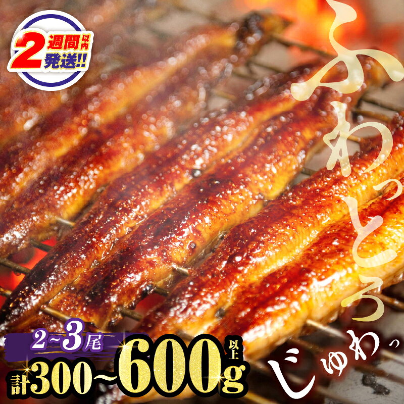 ≪選べる！！内容量・発送時期・定期便≫ うなぎ 蒲焼 2尾 300g 380g or3尾 600g 定期便 国産 宮崎 鰻 unagi 丑の日 美味しい うな重 うな丼 長蒲焼 うなぎ長焼 ひつまぶし 蒲焼き かばやき 小分け 真空パック たれ 簡単調理 惣菜 鰻楽 ギフト 贈り物 冷凍 都農町 送料無料