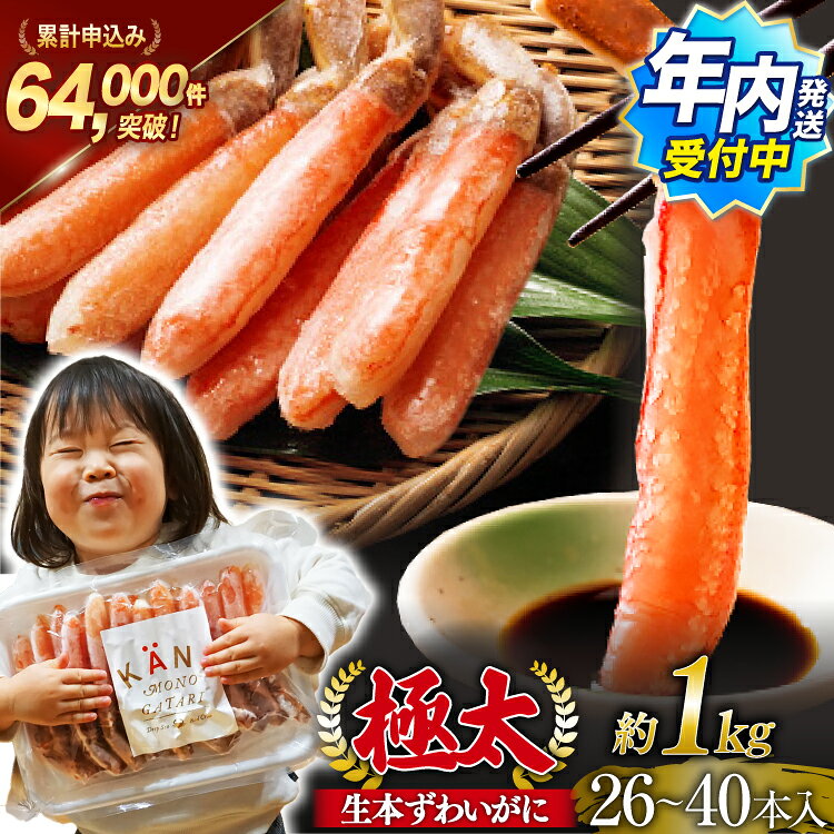 【ふるさと納税】 極太 生本ずわいがに 棒肉ポーション 選べる 発送月 約1kg 26本〜40本入り 殻剥き不要 ! 脚肉のみ ! [カネダイ 宮城県 気仙沼市 20566359] 蟹 かに カニ ずわいがに ズワイガニ ずわい蟹 ズワイ蟹 カニ脚 蟹脚 カニ棒肉 ポーション