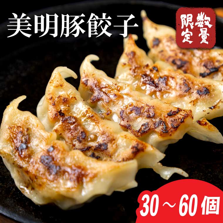 【ふるさと納税】美明豚「びめいとん」のジューシー餃子 2パック(30個入り×2袋)・ 1パック(30個入り)｜餃子 ぎょうざ ギョウザ 美明豚 びめいとん 肉 肉加工品 豚肉 お肉 ジューシー 茨城県 行方市(HJ-2)