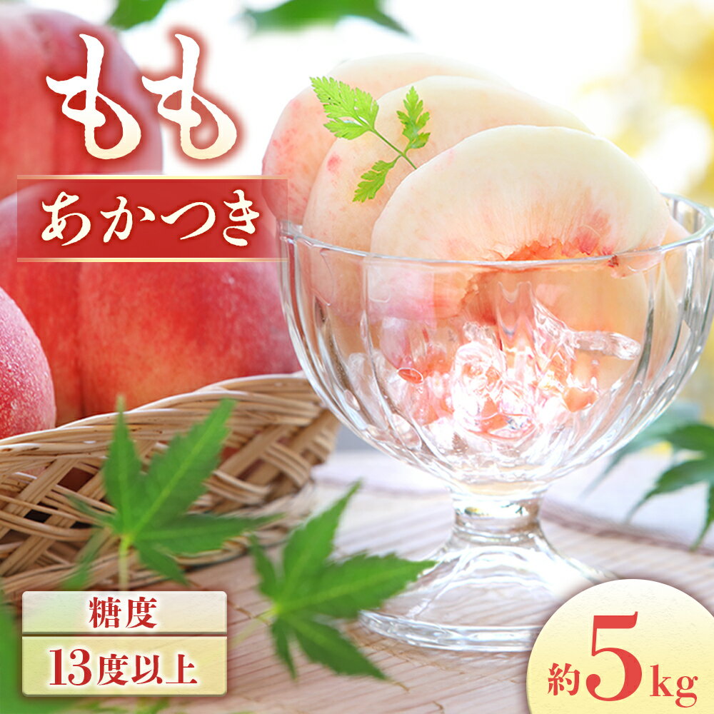 【ふるさと納税】【2027年発送先行予約】桃　あかつき 約5kg（10〜18玉）　※2027年7月下旬〜8月初旬発送予定※