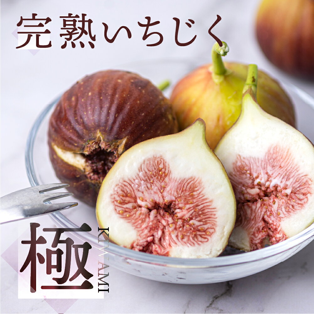 【ふるさと納税】いちじく 極 9-12玉 高評価★4.9 完熟 大玉 《先行予約》 1箱/2箱 発送時期が選べる フルーツ 日時指定可 受賞農家 果物 無花果 イチジク くだもの いちぢく ランキング 入手困難 高級 愛知県 田原市 渥美半島 人気