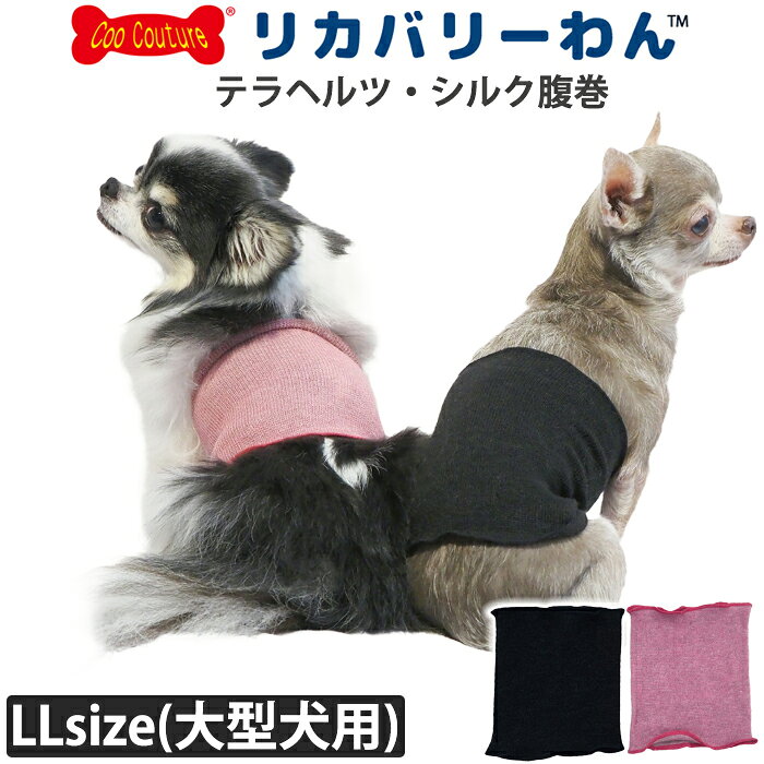 《7月11日迄ポイント5倍》テラヘルツワン・シルク腹巻 大きいサイズ 犬腹巻き 犬用 ペットウェア 秋冬用 大型犬 あったか シニア犬 テラヘルツワン 日本製 クークチュール リカバリーウェア 2メ-3運 7301 【T】【送料無料】