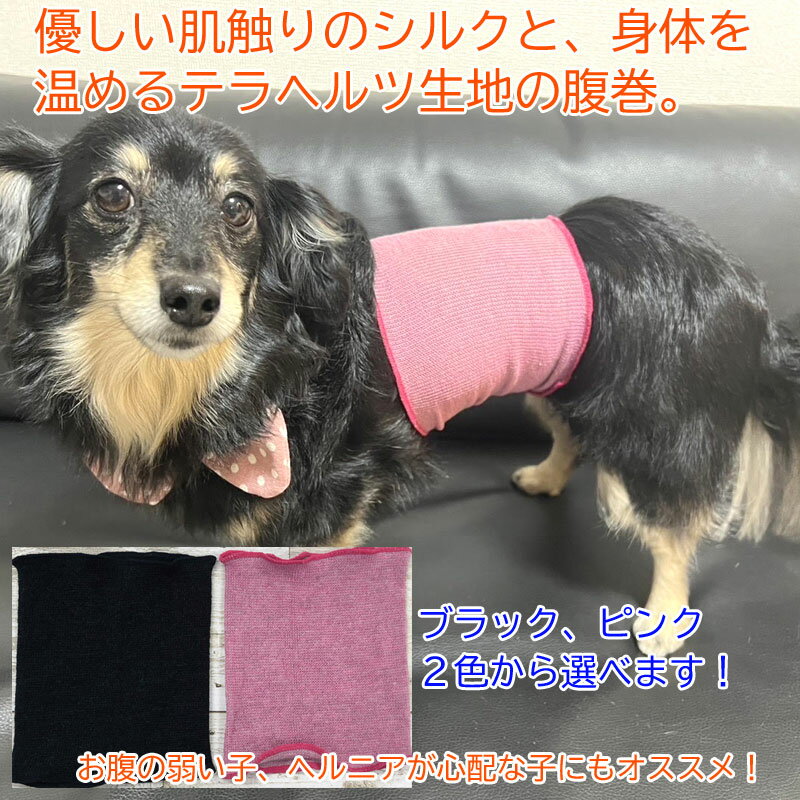 【楽天1位】 お腹 腰の血流促進 シルク腹巻 テラヘルツワン 7301 (S〜LLサイズ) クークチュール Coo Couture 犬用 猫用 ヘルニア 腰痛 お腹が弱い 血流 ほぐす 温め 伸縮性 腹巻き 日本製 子犬 パピー犬 老犬 シニア犬 成犬 血行促進 寒がり はらまき