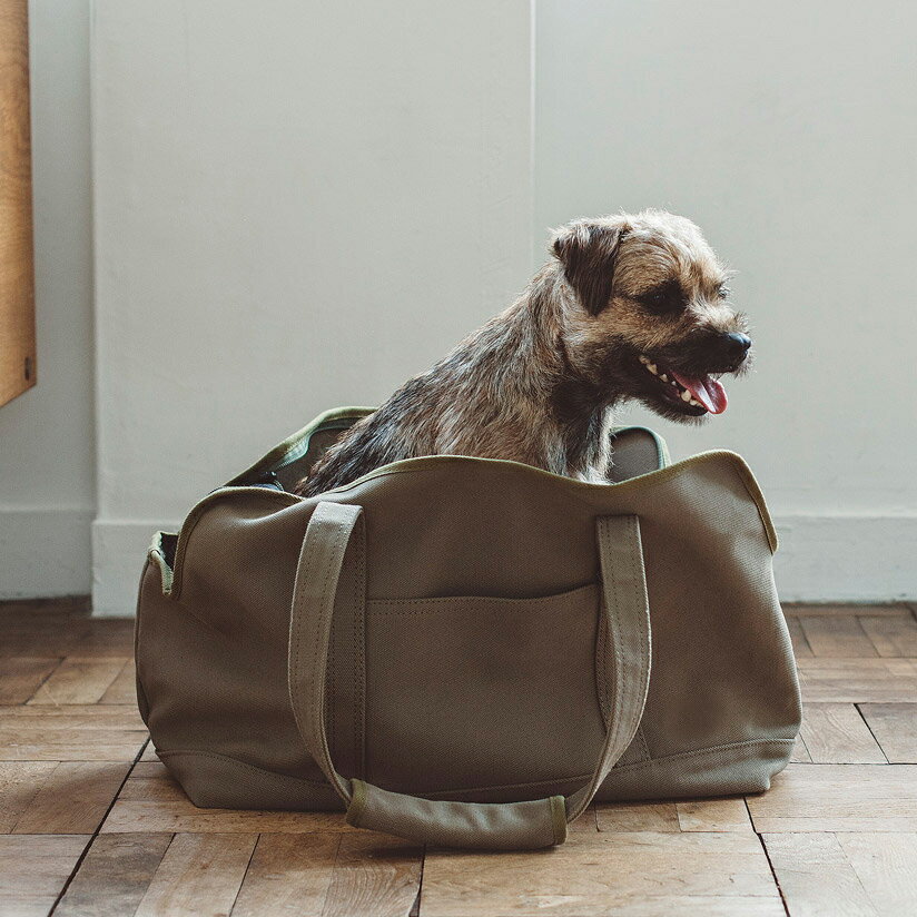 【犬 キャリー】スクエア トート キャンバス ソリッド L サイズ日本製 中型犬 キャリーバッグ